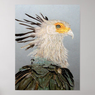 Secretary Bird Poster