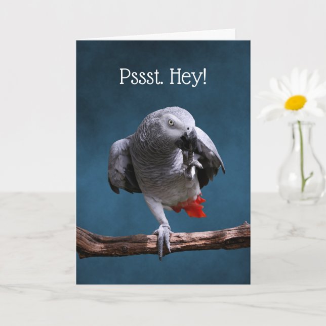 Secretive African Grey Parrot Birthday Card (Small Plant)