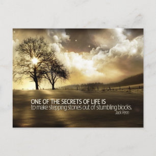 Secrets Of Life Postcard