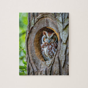 Secrets of the Owl's Tree Trunk Residence Jigsaw Puzzle
