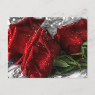 Secrets Postcard