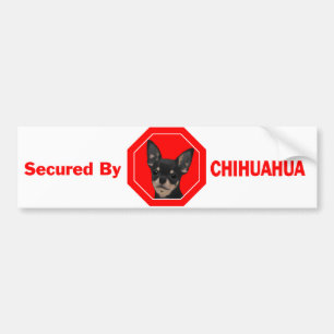 Secured by Chihuahua Bumper Sticker