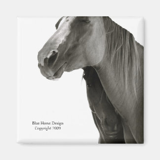 Security & Comfort Magnet