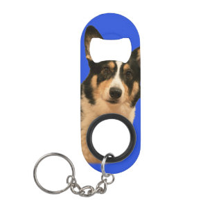 Security Guard