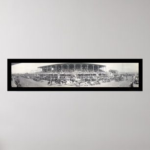 Sedalia MO Cattle Photo 1911 Poster