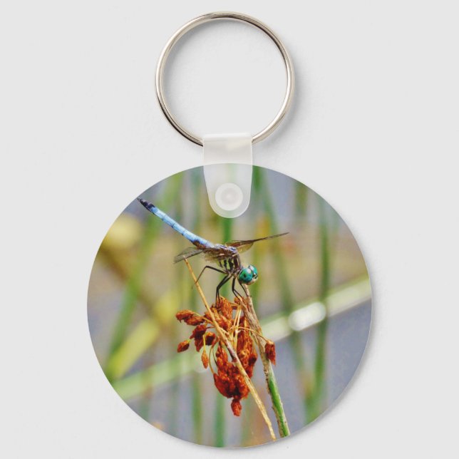 Sedge grass, and Dragonfly Key Ring (Front)