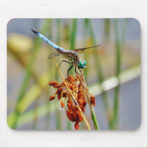 Sedge grass, and Dragonfly Mouse Pad