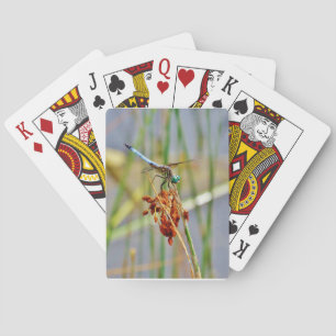Sedge grass, and Dragonfly Playing Cards