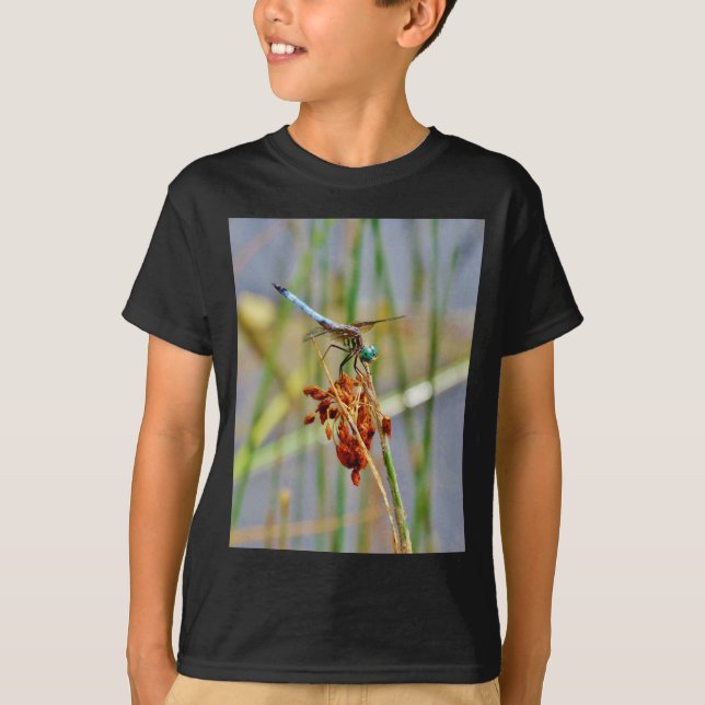 Sedge grass, and Dragonfly T-Shirt (Front)
