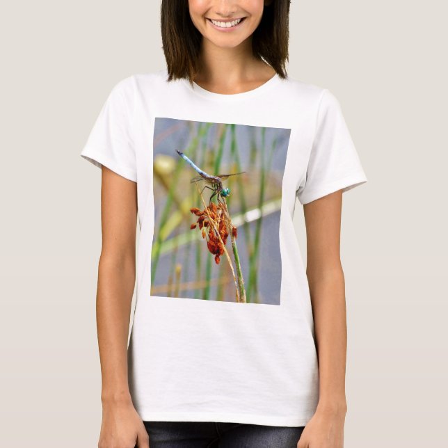 Sedge grass, and Dragonfly T-Shirt (Front)