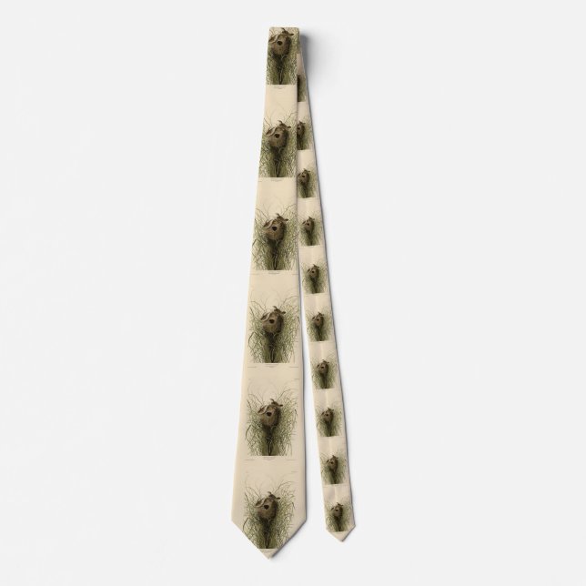 Sedge Wren from Audubon's Birds of America Tie (Front)
