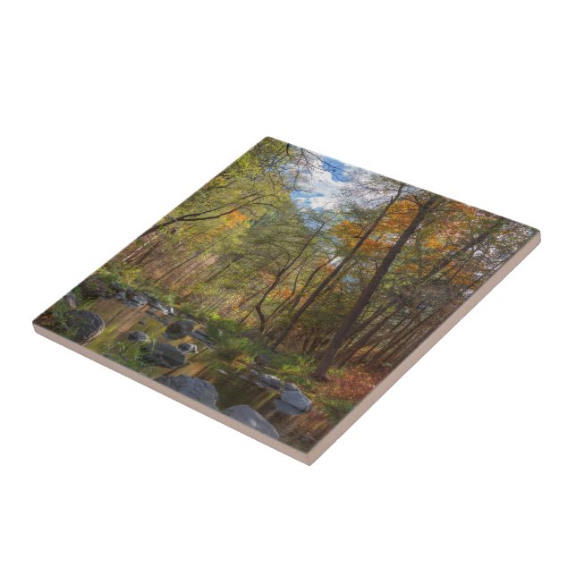 SEDONA ARIZONA STREAMING ANOTHER DAY CERAMIC TILE (Side)