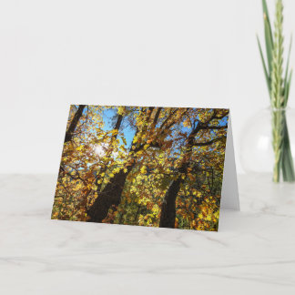 Sedona Autumn Notecard