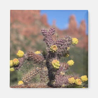 Sedona Cactus Desert Magnet