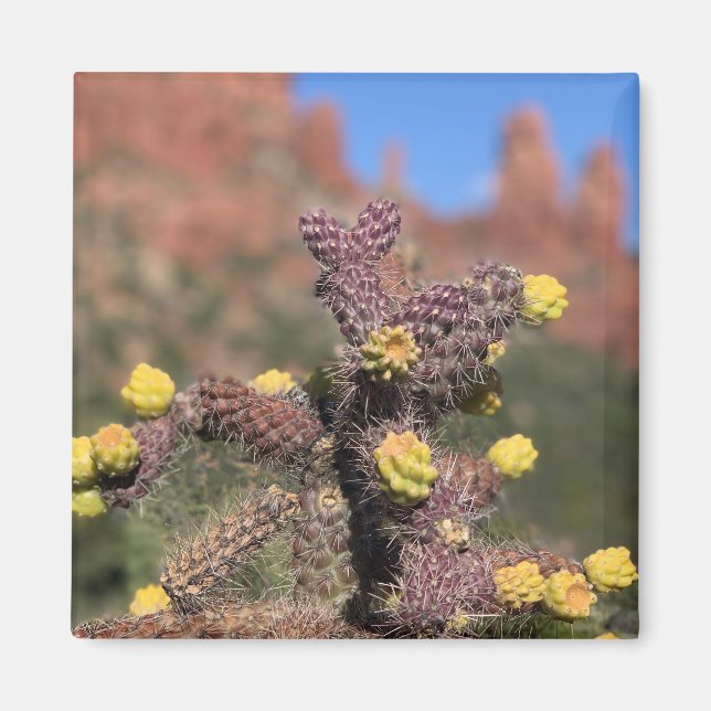 Sedona Cactus Desert Magnet (Front)
