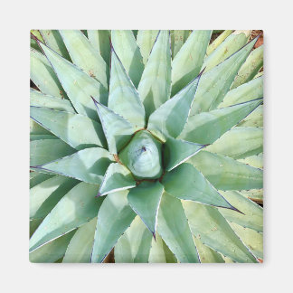 Sedona Green Agave Plant Magnet