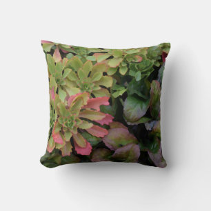 Sedum, Ajuga, Iris and Columbine Cushion