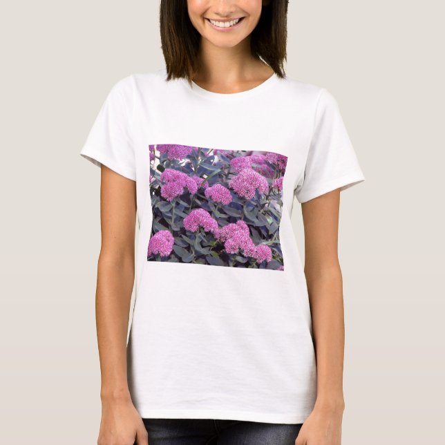 Sedum Autumn Joy T-Shirt (Front)