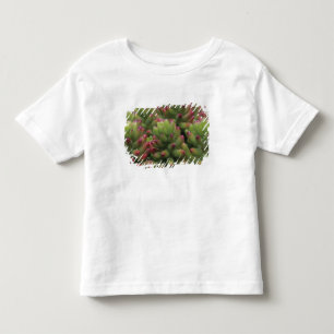 Sedum plant, Arizona-Sonora Desert Museum, Toddler T-Shirt
