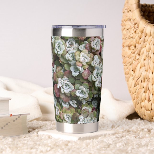 Sedum Spathulifolium Stonecrop Botanical Insulated Tumbler (Living Room)