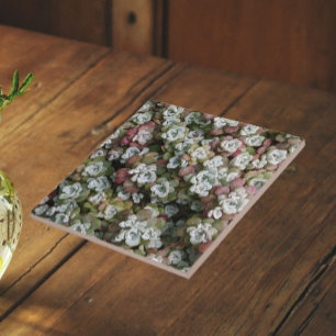 Sedum Spathulifolium Succulents Floral Ceramic Tile