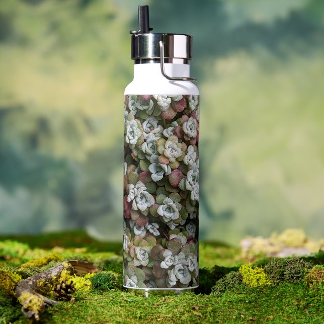 Sedum Spathulifolium Succulents Floral Water Bottle (Outdoor)