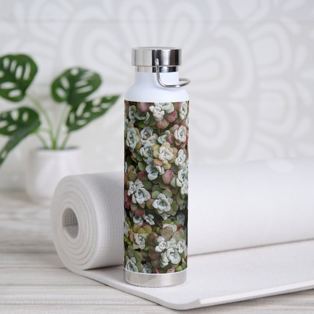 Sedum Spathulifolium Succulents Floral Water Bottle (Yoga)