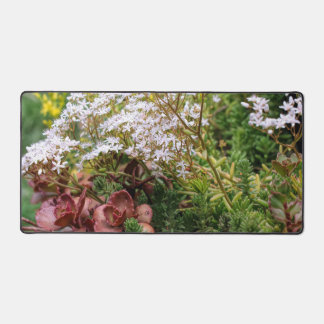 Sedum Succulents With White Flower Blossoms Desk Mat