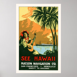 See Hawaii Travel Poster