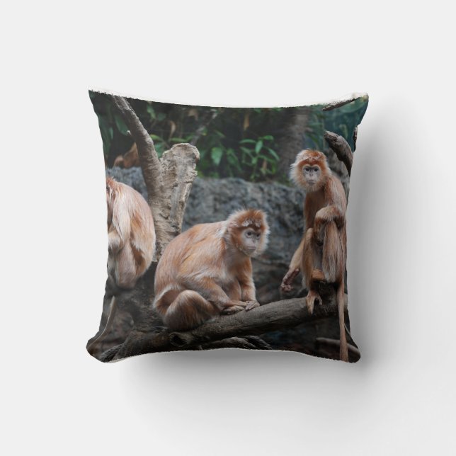 See No Evil, Hear No Evil, Do No Evil Cushion (Front)