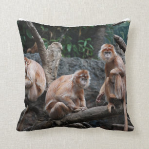 See No Evil, Hear No Evil, Do No Evil Cushion
