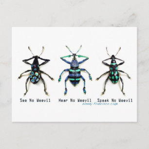 See No Weevil! Postcard