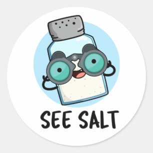 See Salt Funny Sea Salt Pun  Classic Round Sticker