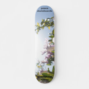 see the light skateboard