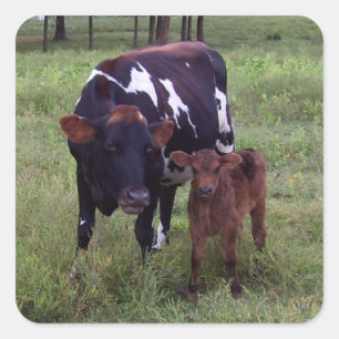 See the Resemblance? Stickers