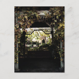See Through Postcard