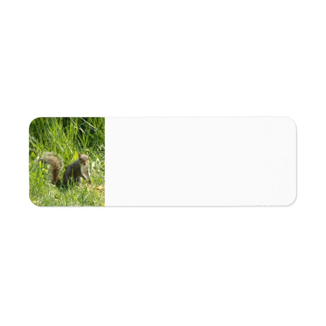 See You Squirrel Return Address Labels (Front)