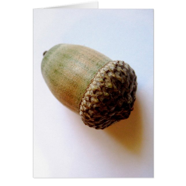 Seed Acorn Card (Front)