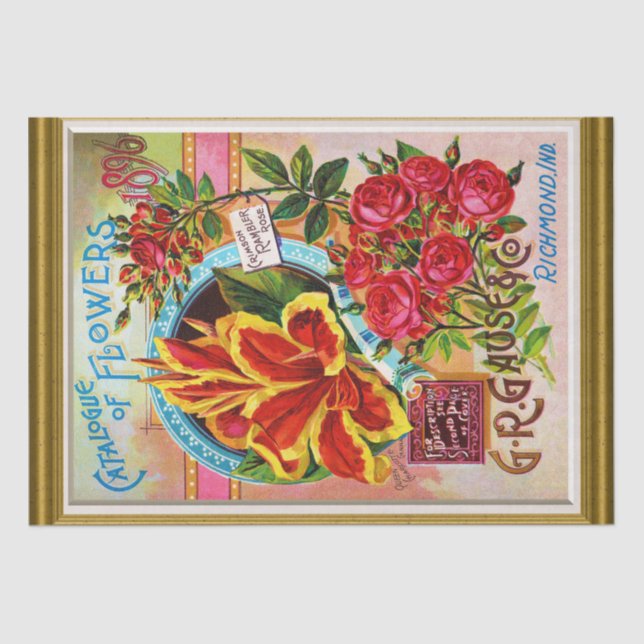 Seed Cover Catalogue 1896 Richmond Indiana Tissue Paper (Front)