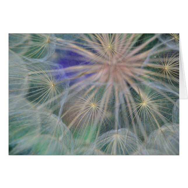 Seed Head Design | Gennesse, Idaho (Front Horizontal)