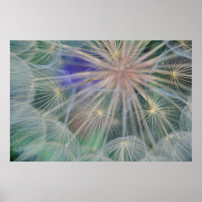 Seed Head Design | Gennesse, Idaho Poster (Front)