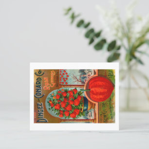 Seed packet postcard.  postcard