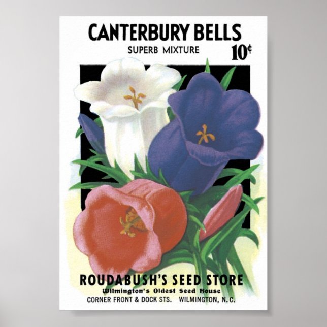 Seed Packet Vintage Poster (Front)