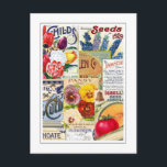 Seed Packets Postcard<br><div class="desc">Collage of vintage seed packets and catalogues.This image (or other media file) is in the public domain because its copyright has expired.</div>