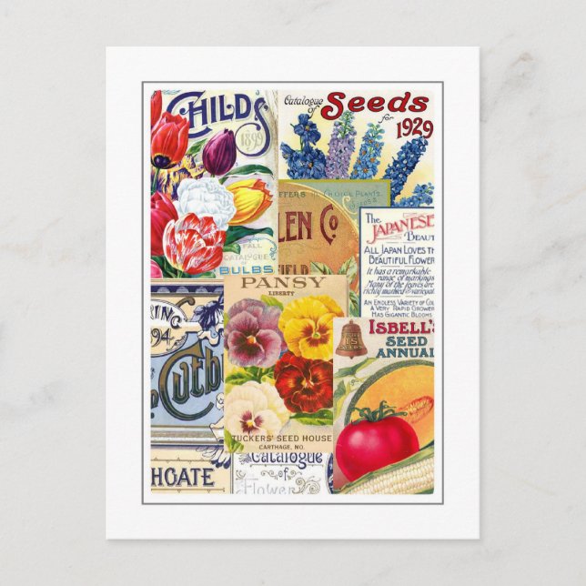 Seed Packets Postcard (Front)