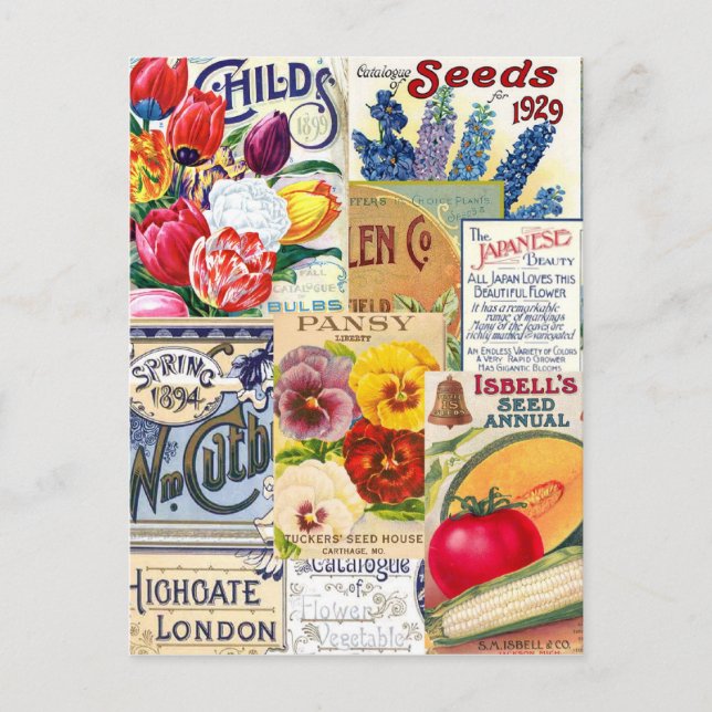 Seed Packets Postcard (Front)