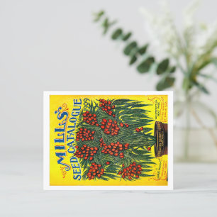 Seed Packets.  Postcard