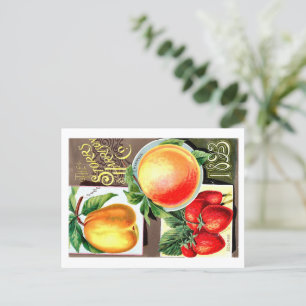 Seed Packets. Postcard