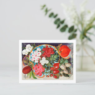 Seed Packets.  Postcard