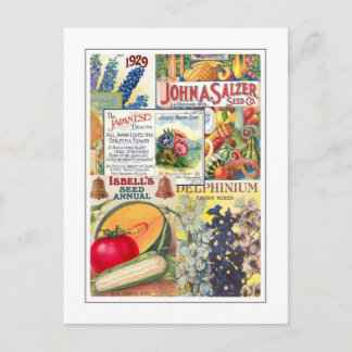 Seed Packets Postcard